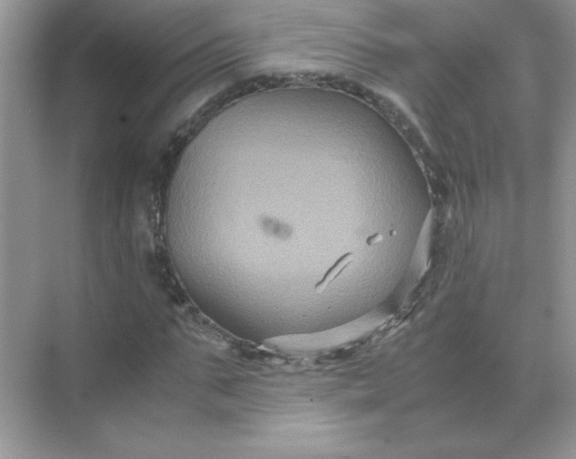 X0000071900871200607212014