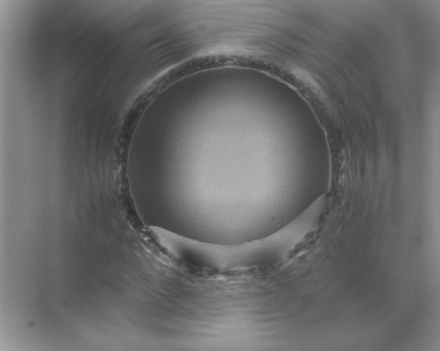 X0000071900872200607212014