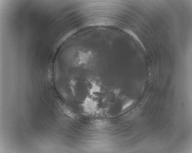 X0000071900874200607212014