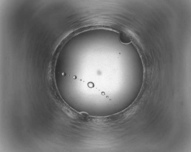 X0000071900875200607212014