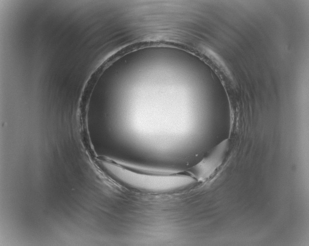 X0000071900876200607212014