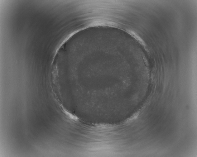 X0000071900877200607212013