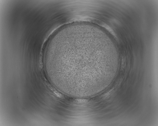 X0000071900878200607212013