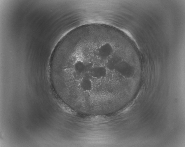 X0000071900879200607212013