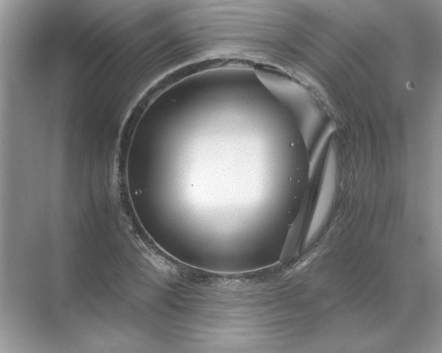 X0000071900880200607212013