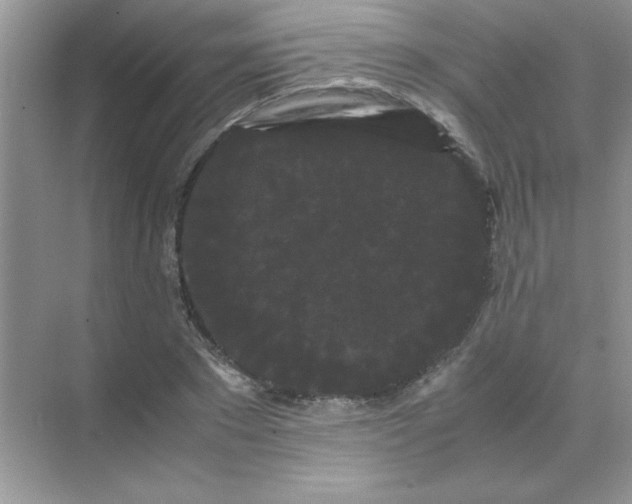 X0000071900881200607212013