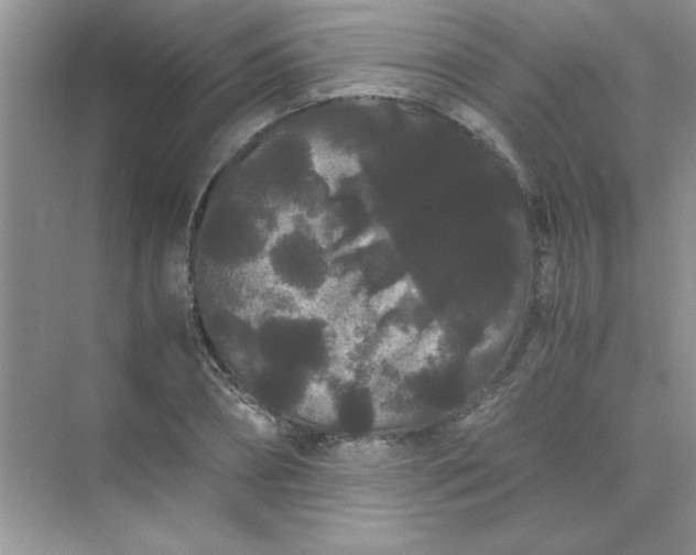 X0000071900882200607212013