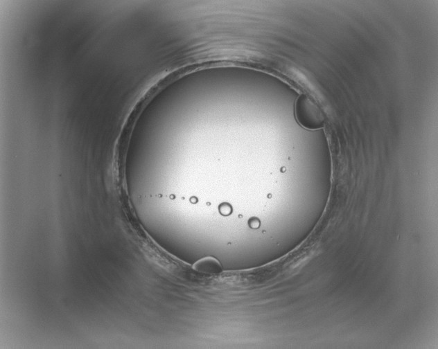 X0000071900883200607212013