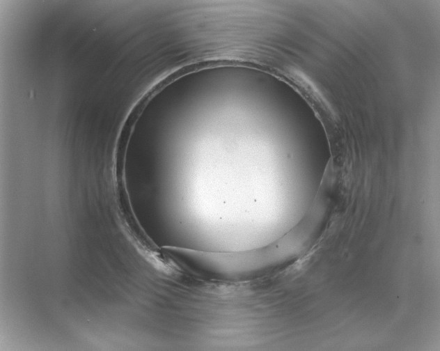 X0000071900884200607212013