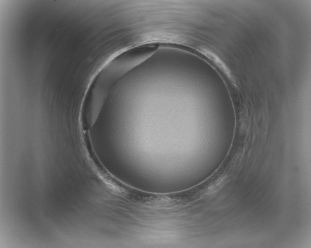 X0000071900885200607212013