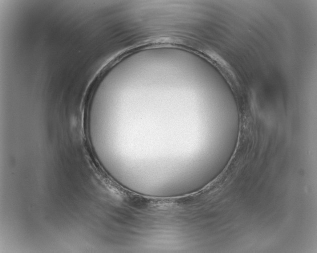 X0000071900886200607212013