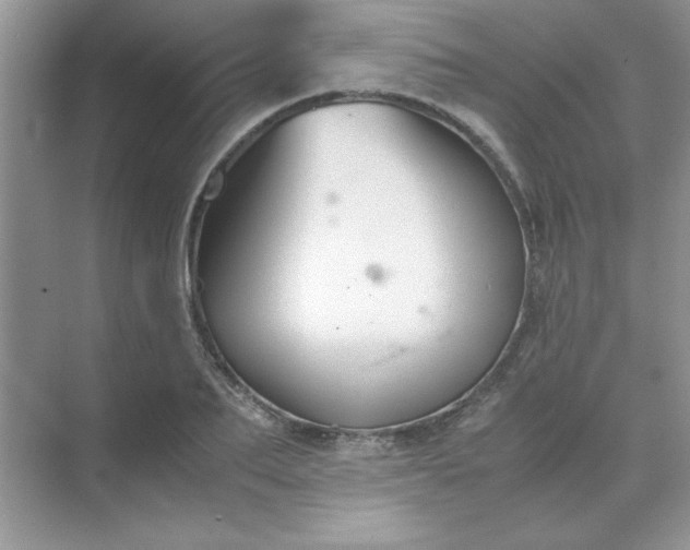 X0000071900887200607212013