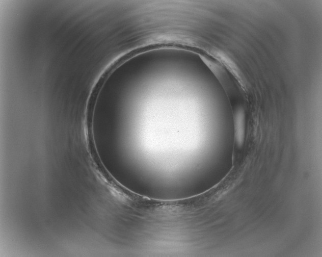 X0000071900888200607212013