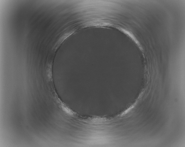 X0000071900889200607212013