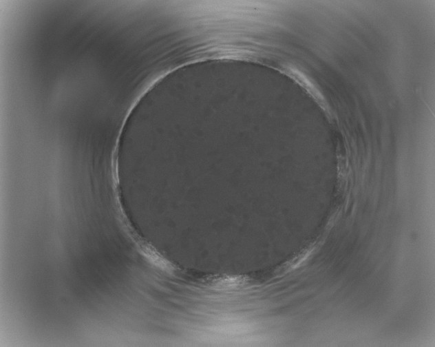 X0000071900891200607212013