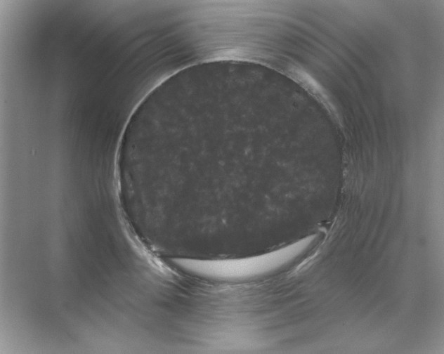 X0000071900892200607212013