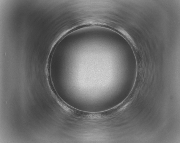 X0000071900893200607212013