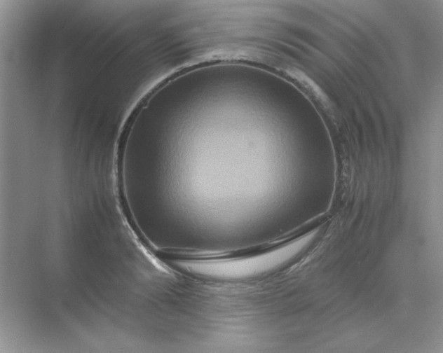 X0000071900894200607212013