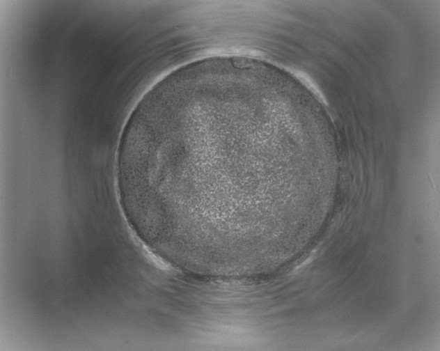 X0000071900895200607212013