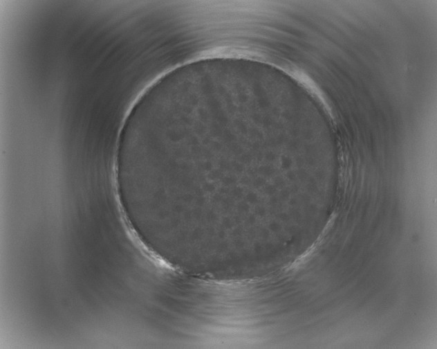 X0000071900896200607212013