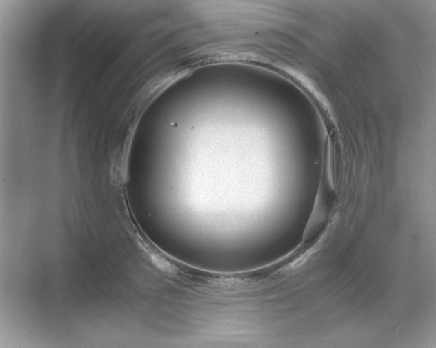 X0000071900897200607212013