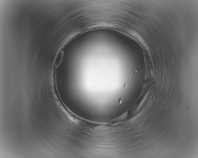 X0000071900898200607212013