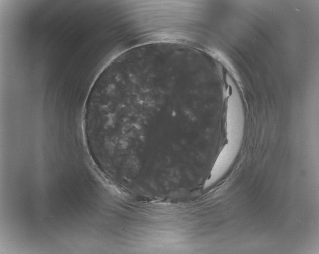 X0000071900899200607212013