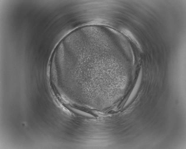 X0000071900900200607212013