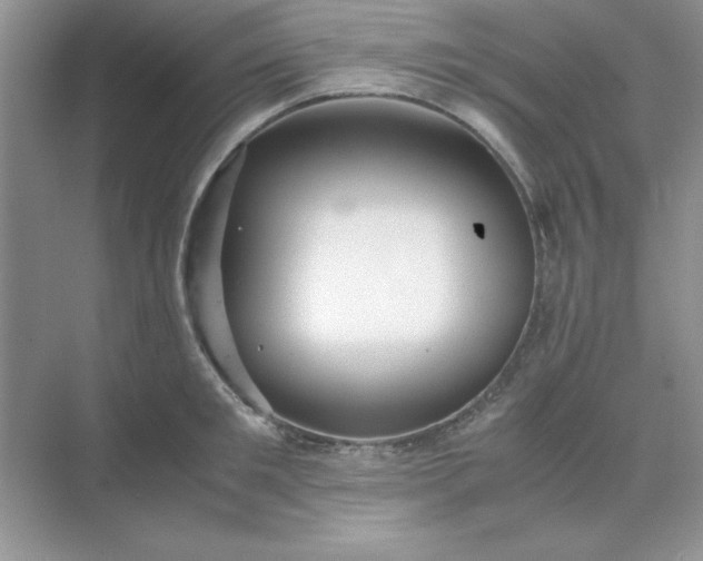 X0000071900901200607212013