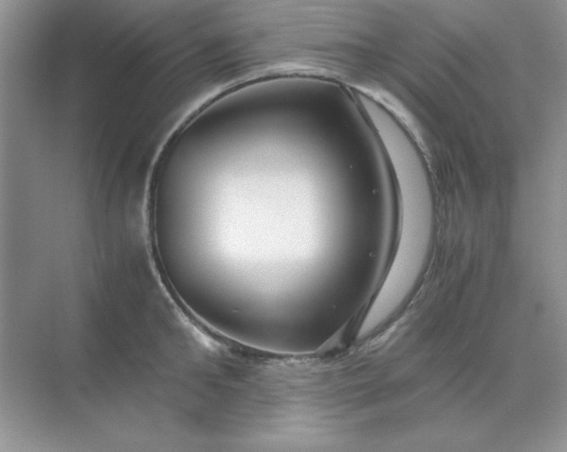 X0000071900902200607212013