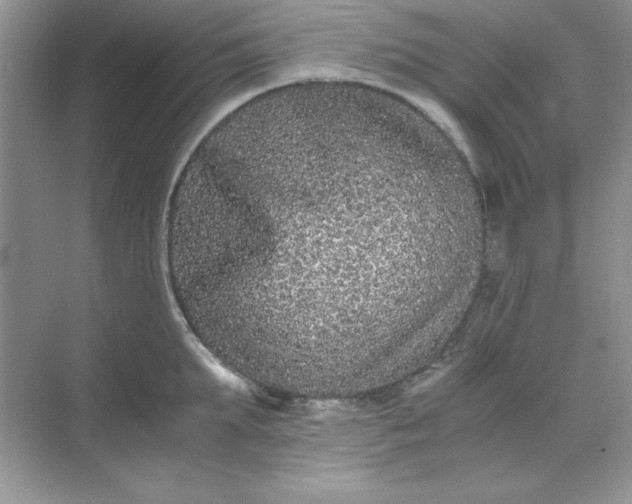 X0000071900903200607212013