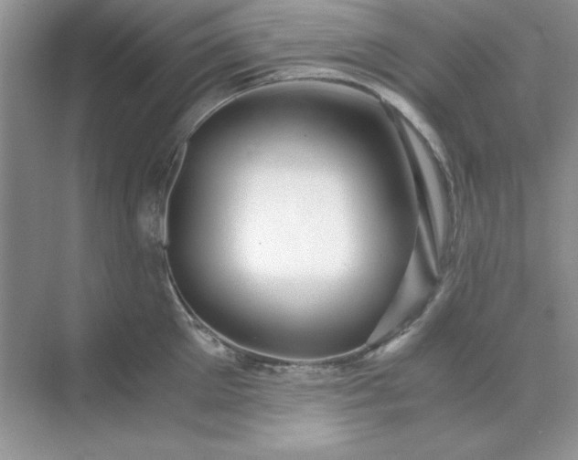 X0000071900905200607212013