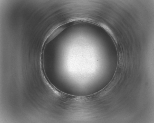 X0000071900906200607212013