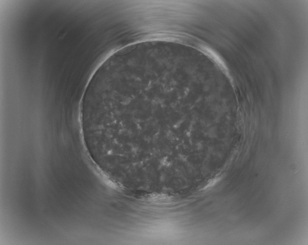 X0000071900907200607212013