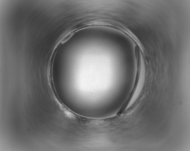 X0000071900909200607212013