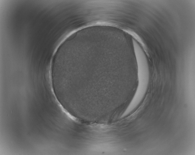 X0000071900910200607212013