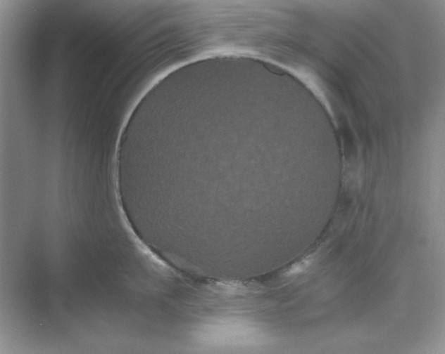 X0000071900911200607212013