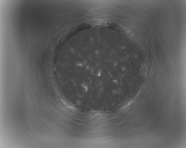 X0000071900913200607212012