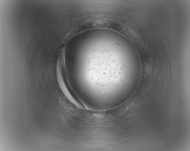 X0000071900914200607212012