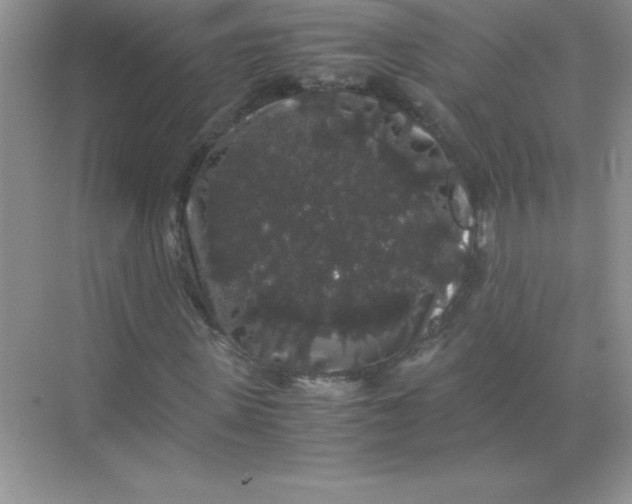 X0000071900915200607212012