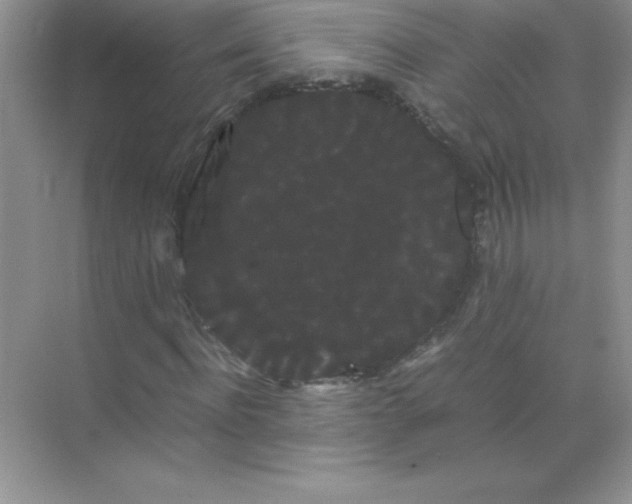 X0000071900916200607212012