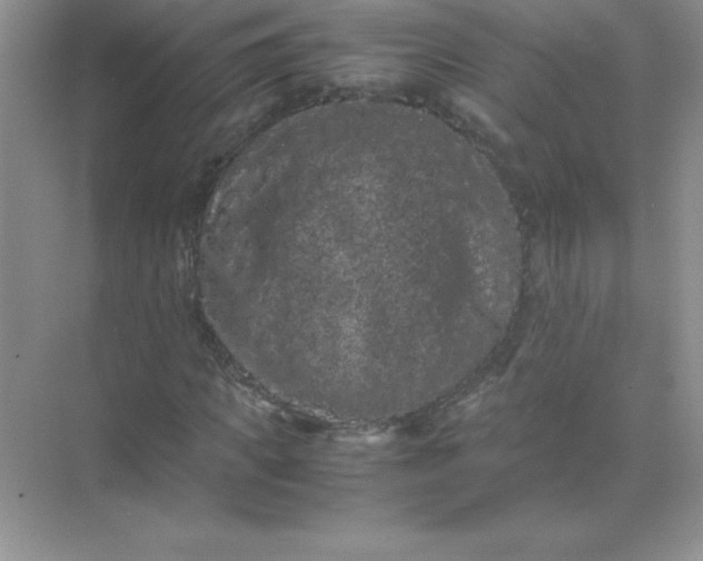 X0000071900917200607212012