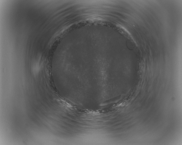 X0000071900919200607212012