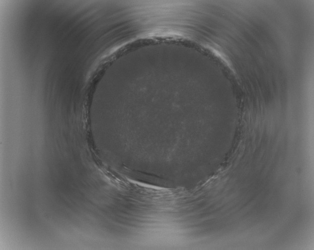 X0000071900920200607212012