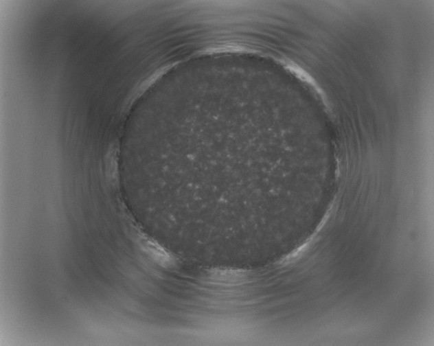 X0000071900921200607212012