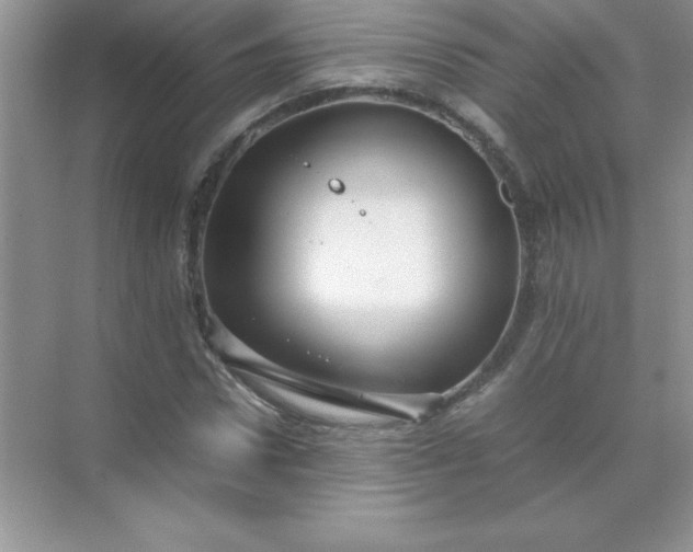 X0000071900922200607212012