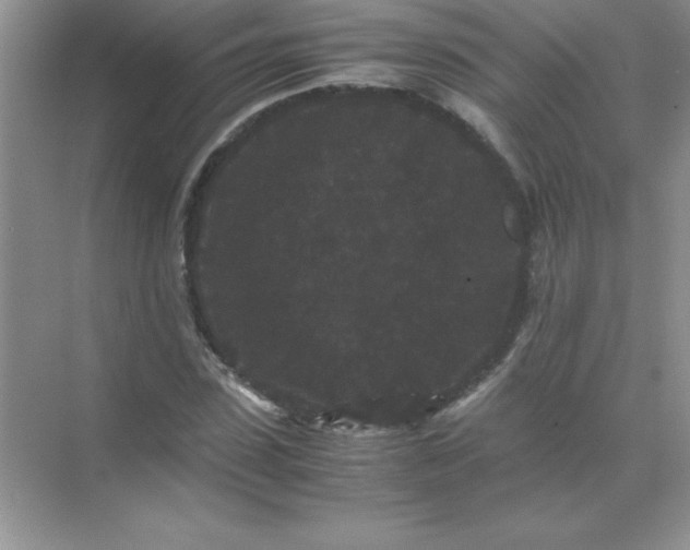 X0000071900923200607212012