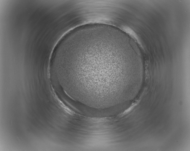 X0000071900924200607212012