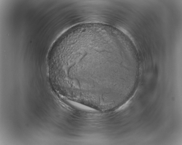 X0000071900925200607212012