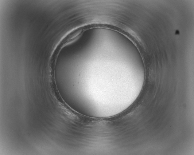 X0000071900926200607212012